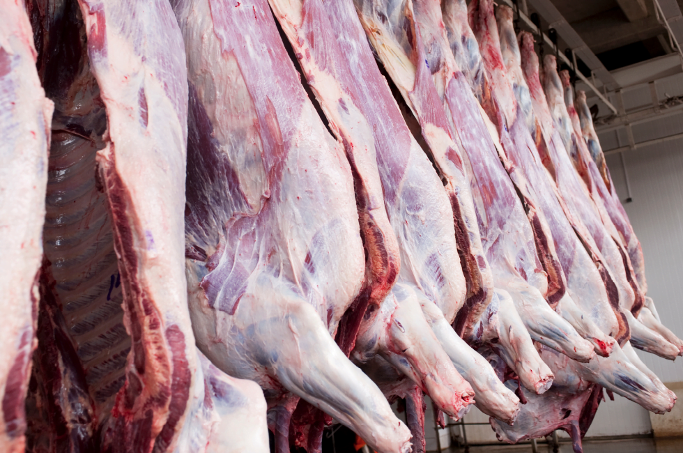 Canal Completa Carne bovina en canal 3 2 - TRASAF S.A.S. Canal Completa - Image 2