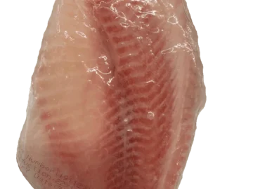 Filete de Tilapia Congelado