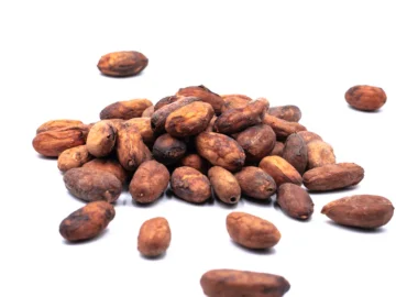 Cacao en grano / Fino de Aroma