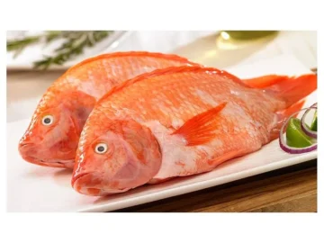 Tilapia o Mojarra Roja