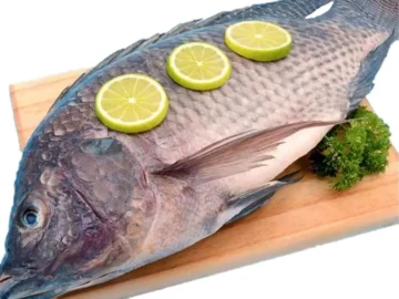 Mojarra Negra o Plateada