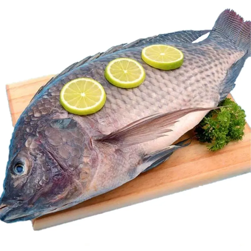 Mojarra Negra o Plateada Mojarra negra entera eviscerada 3 1 - TRASAF S.A.S. Mojarra Negra o Plateada