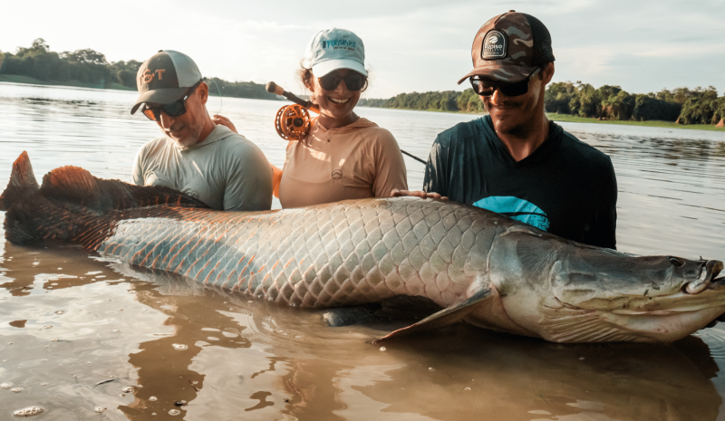 Pirarucú en Filete Conserva o Congelado Pirarucu en Filete Conserva o Congelado 4 - TRASAF S.A.S. Pirarucú en Filete Conserva o Congelado - Image 4