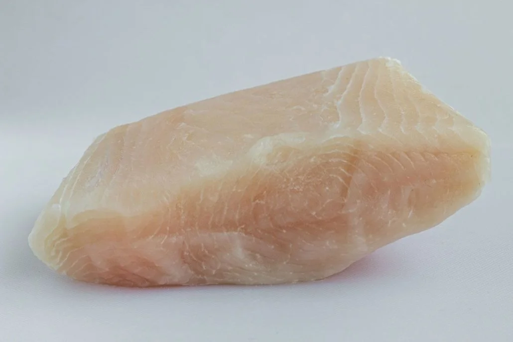 Pirarucú en Filete Conserva o Congelado pirarucu en filete o conserva 2 - TRASAF S.A.S. Pirarucú en Filete Conserva o Congelado