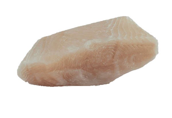 Pirarucú en Filete Conserva o Congelado pirarucu en filete o conserva - TRASAF S.A.S. Pirarucú en Filete Conserva o Congelado - Image 2